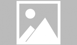 娱乐圈吃瓜四小花旦是谁,娱乐圈四小花旦风云录